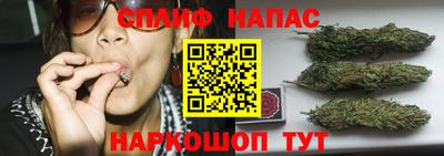 спиды Краснознаменск