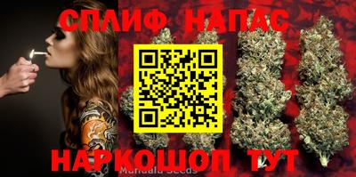 спиды Краснознаменск