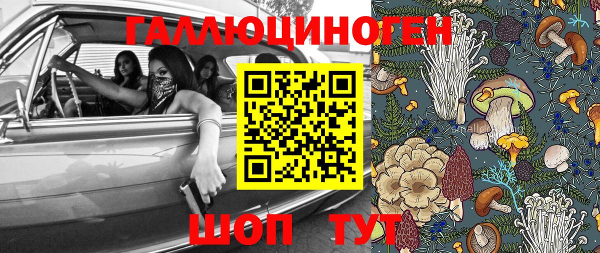 Псилоцибиновые грибы прущие грибы Егорьевск