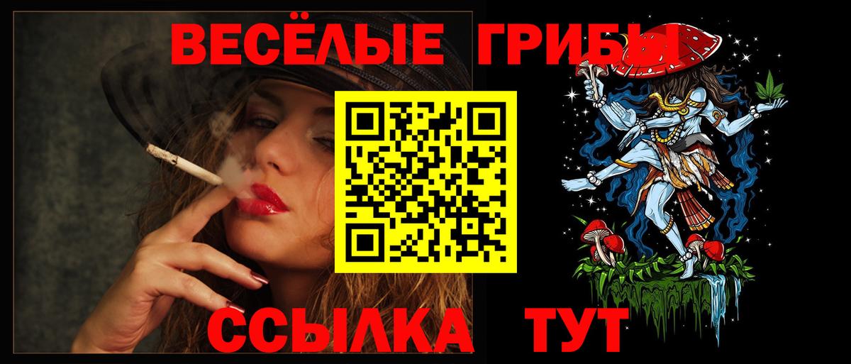 Егорьевск  Псилоцибиновые грибы Cubensis  Псилоцибиновые грибы Cubensis  Вход с VPN 